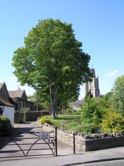 St Mary’s and Causeway (new)