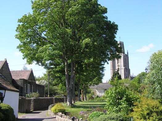 St Mary’s and Causeway (new)