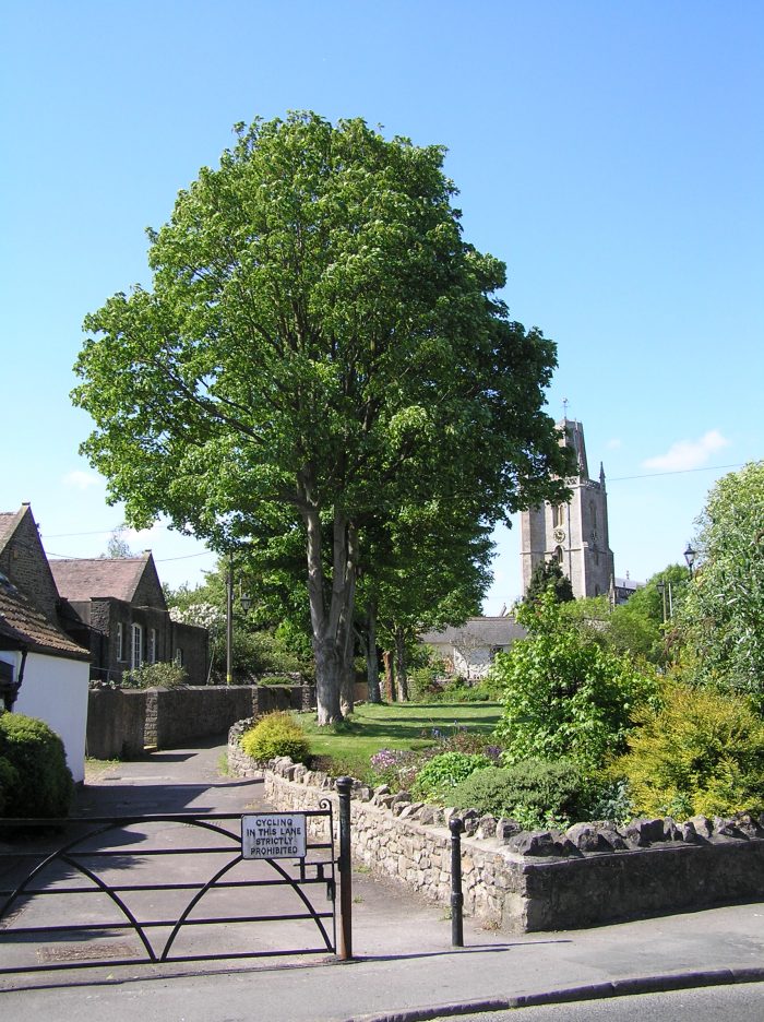 St Mary’s and Causeway (new)